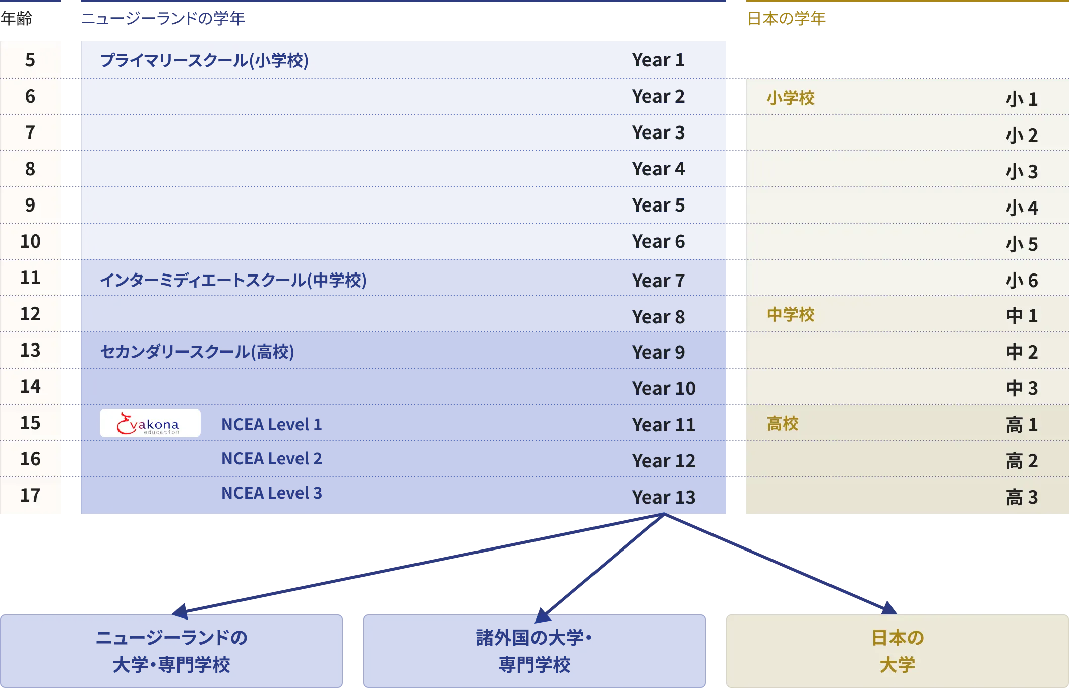 年齢5〜17歳におけるニュージーランドの学年（プライマリースクール・インターミディエートスクール・セカンダリースクール、NCEA Level 1〜3）と日本の学年（小学校・中学校・高校）の対応表。進学先としてニュージーランドの大学・専門学校、諸外国の大学・専門学校、日本の大学を示す図