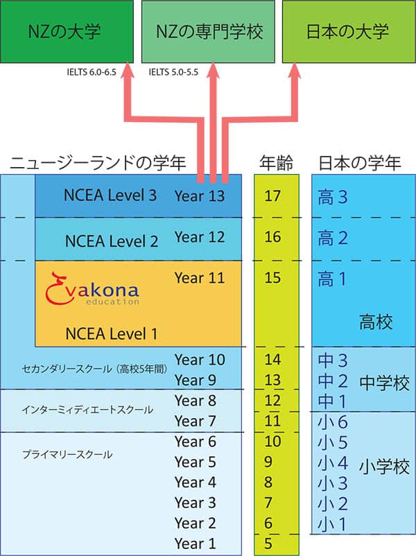 ニュージーランド高校留学